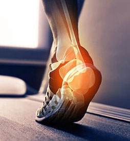 foot